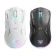 ONIKUMA CW917 RGB Dual Mode Wired + 2.4GHz Wireless Mouse