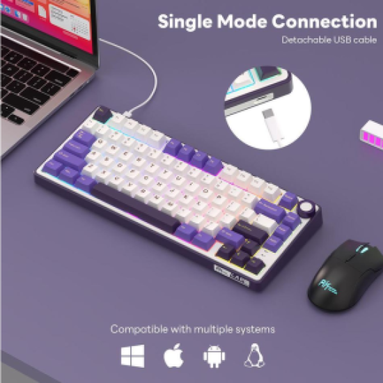 Royal Kludge RK R75 RGB Hot-Swappable Blackberry Switch Mechanical Keyboard